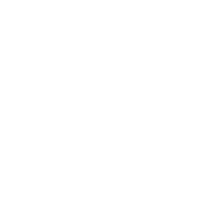 Tammer Brands logo